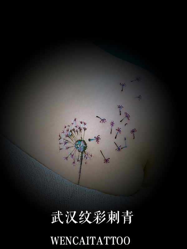 美丽的安小姐后背彩色蒲公英纹身