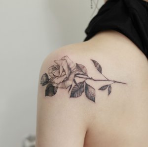 谭小姐后背肩胛玫瑰纹身图案