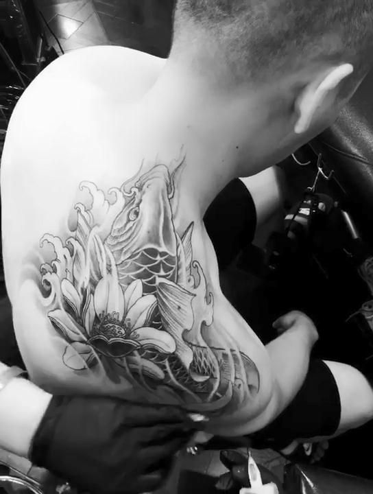 肩胛莲花鲤鱼纹身图案已完成视频